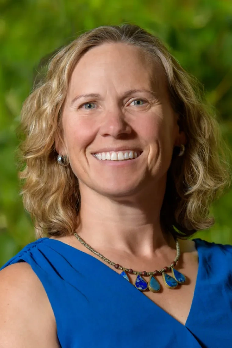 alison m meadow