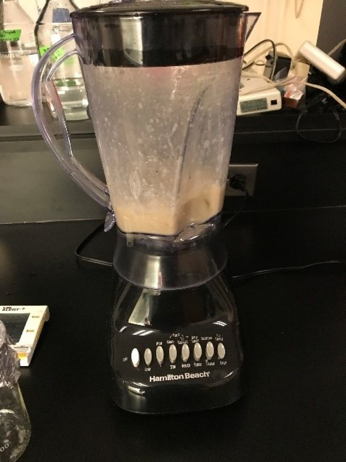 oysters in a blender