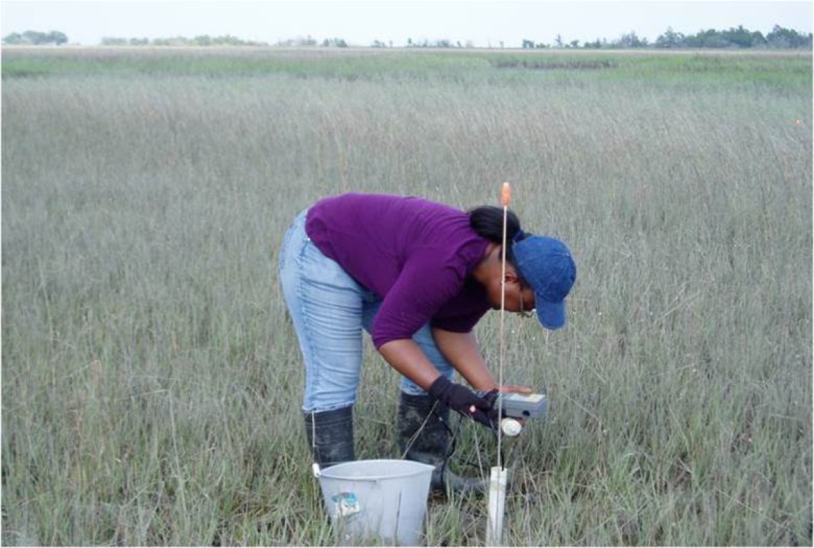 Wetland water quality monitoring in South Carolina