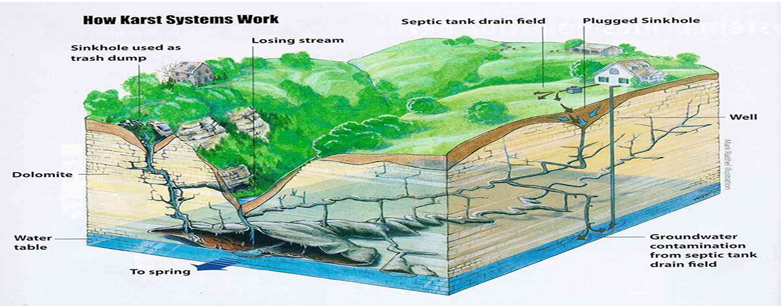 Illustration of karst groundwater aquifer contamination