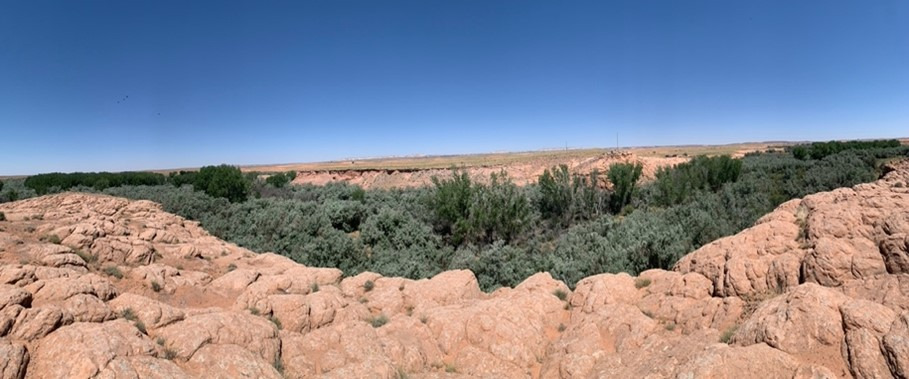 Cow Springs, Navajo Nation