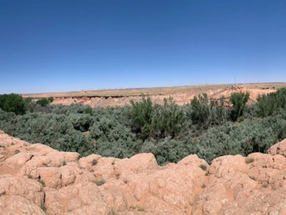 Photo  of Cow Springs, Navajo Nation
