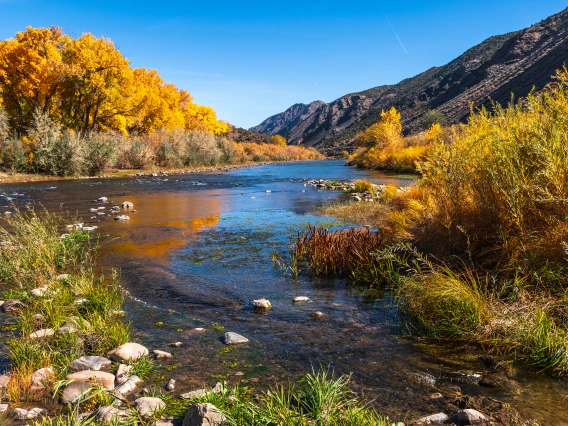 Rio Grande