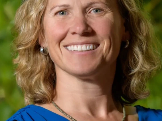 alison m meadow