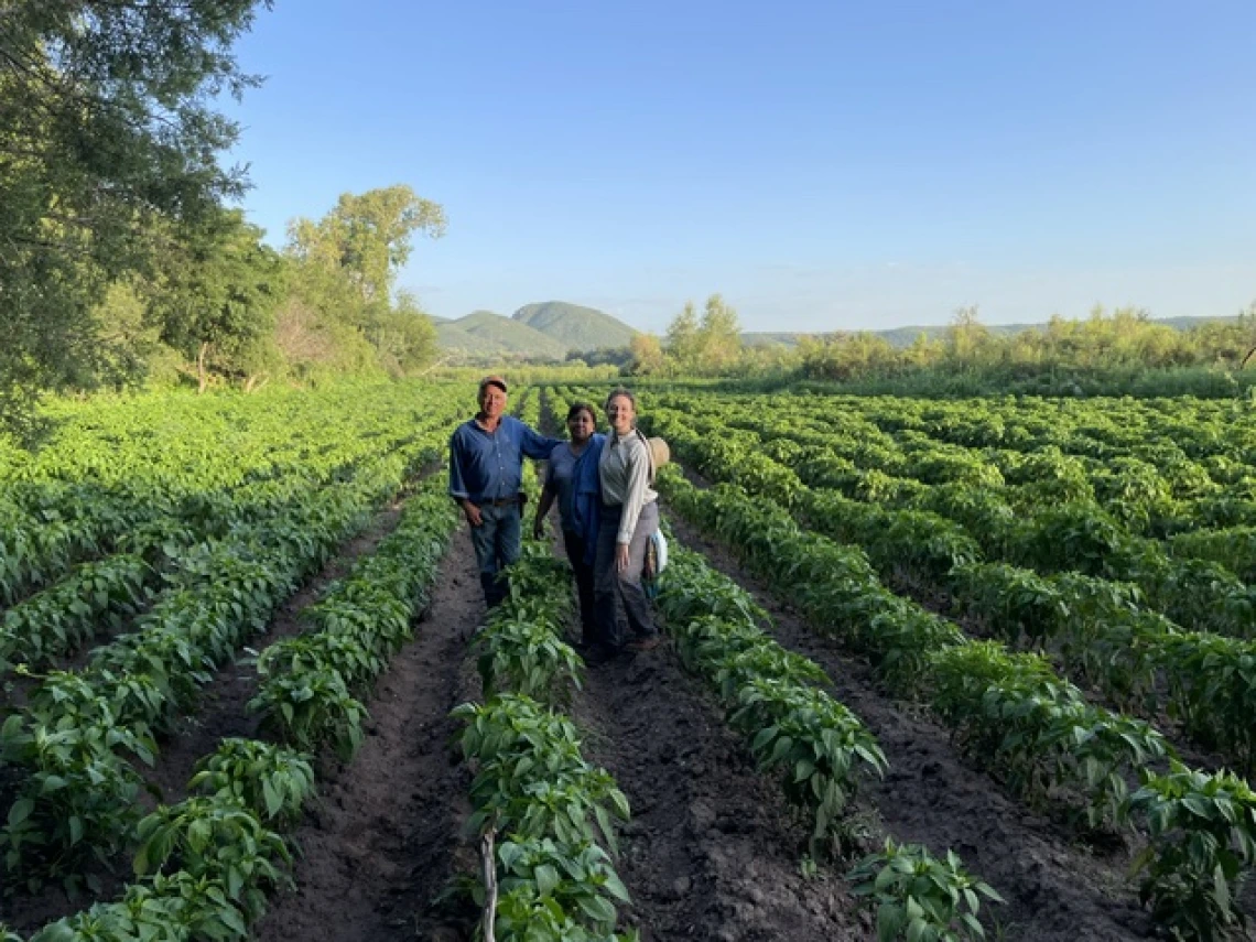 Picture of Emily in a field of row plants