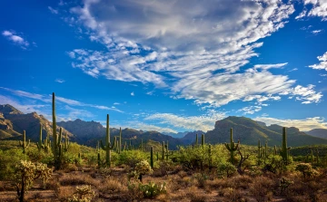 sabino canyon