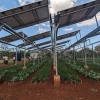 An agrivoltaic system near Morogoro, Tanzania